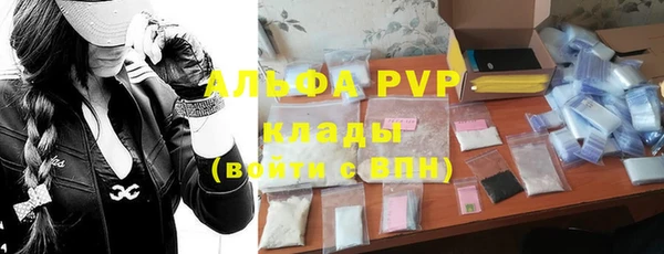 ПСИЛОЦИБИНОВЫЕ ГРИБЫ Абаза