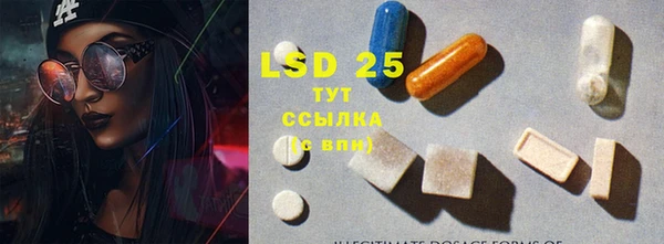 ПСИЛОЦИБИНОВЫЕ ГРИБЫ Абаза
