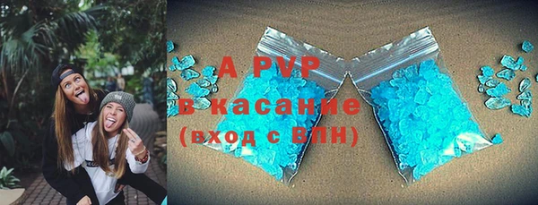 ПСИЛОЦИБИНОВЫЕ ГРИБЫ Абаза