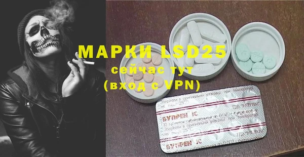 ГАЛЛЮЦИНОГЕННЫЕ ГРИБЫ Алзамай