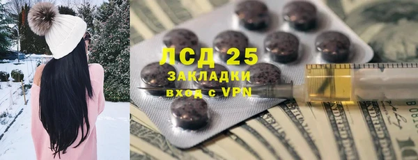 ГАЛЛЮЦИНОГЕННЫЕ ГРИБЫ Алзамай
