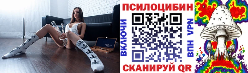Псилоцибиновые грибы MAGIC MUSHROOMS Удомля