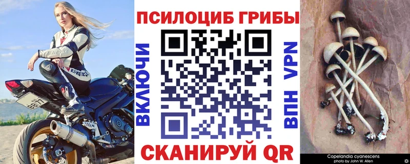 купить закладку  даркнет состав  Псилоцибиновые грибы ЛСД  Удомля 